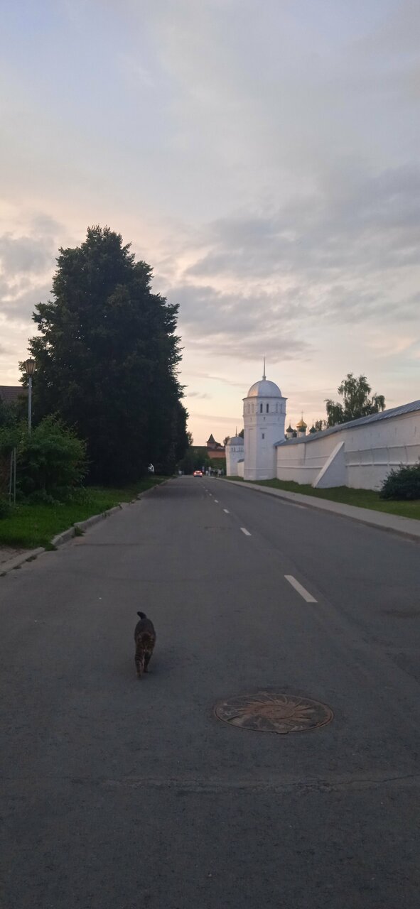 Гостевой дом У Прокопа Суздаль-159