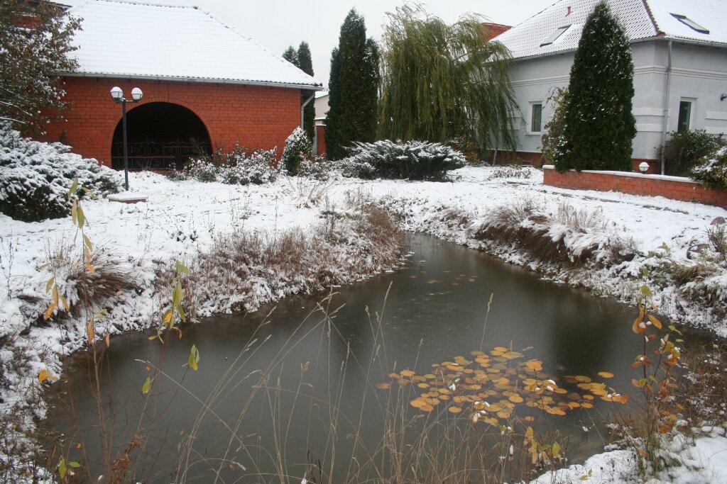 Гостевой дом У Прокопа Суздаль-10