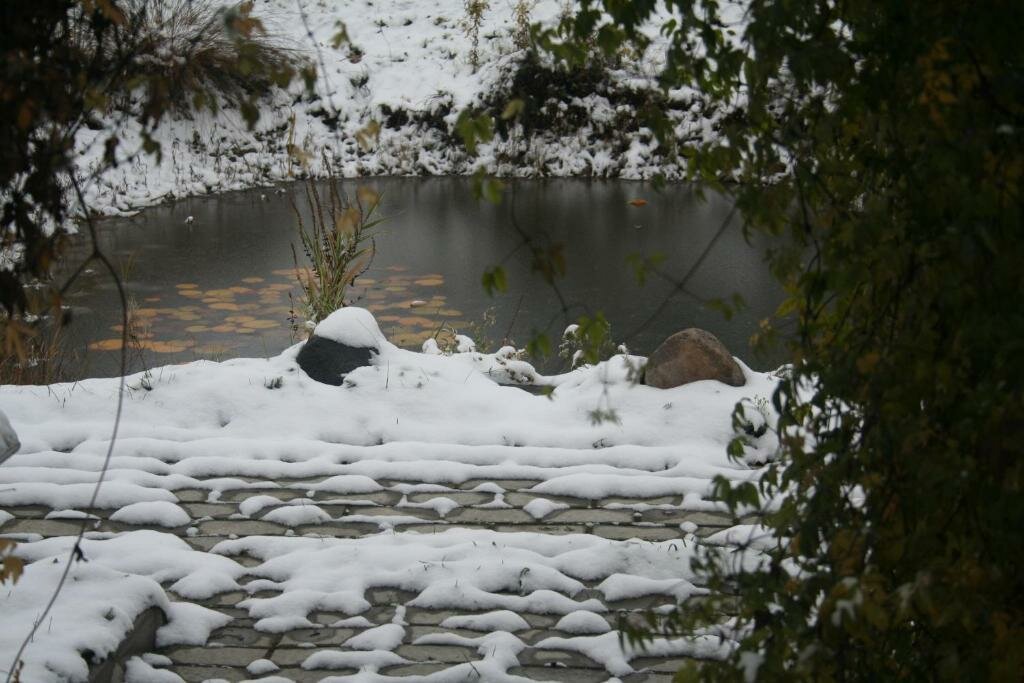 Гостевой дом У Прокопа Суздаль-22