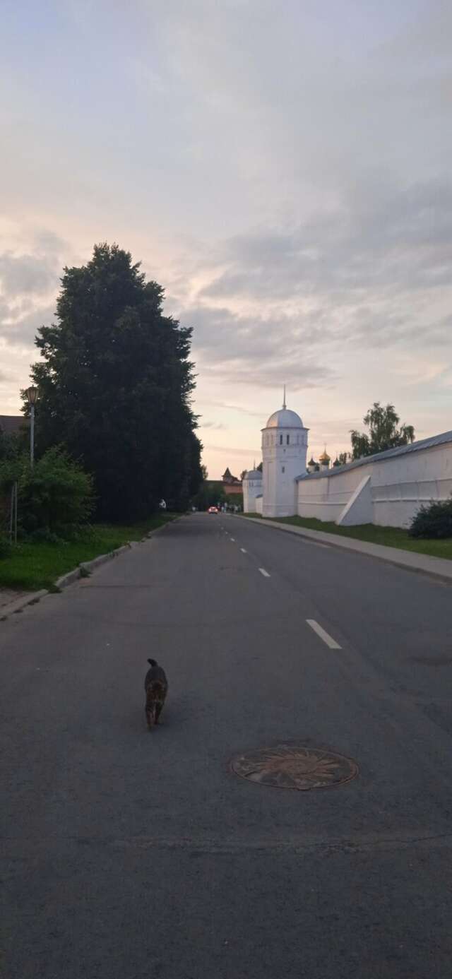 Гостевой дом У Прокопа Суздаль-158