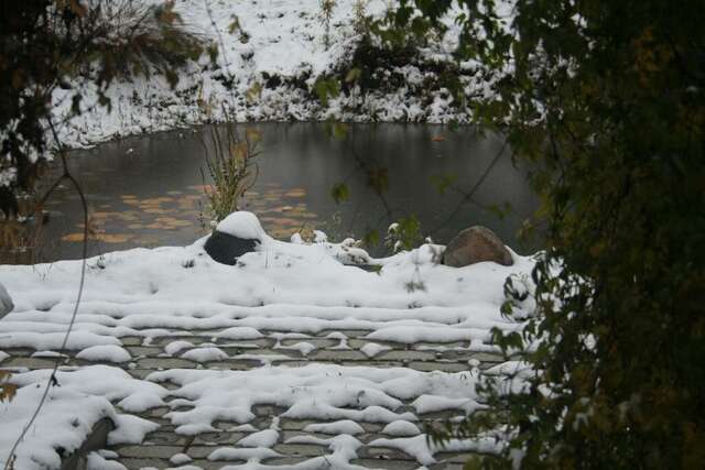 Гостевой дом У Прокопа Суздаль-21